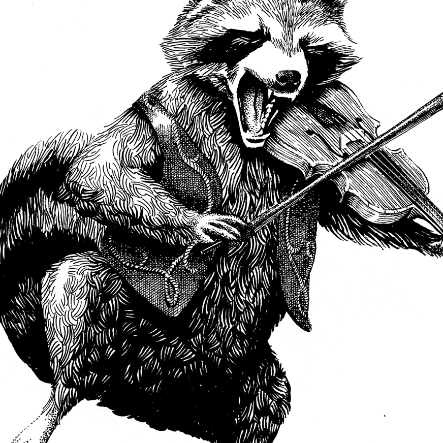 raccoon fiddle